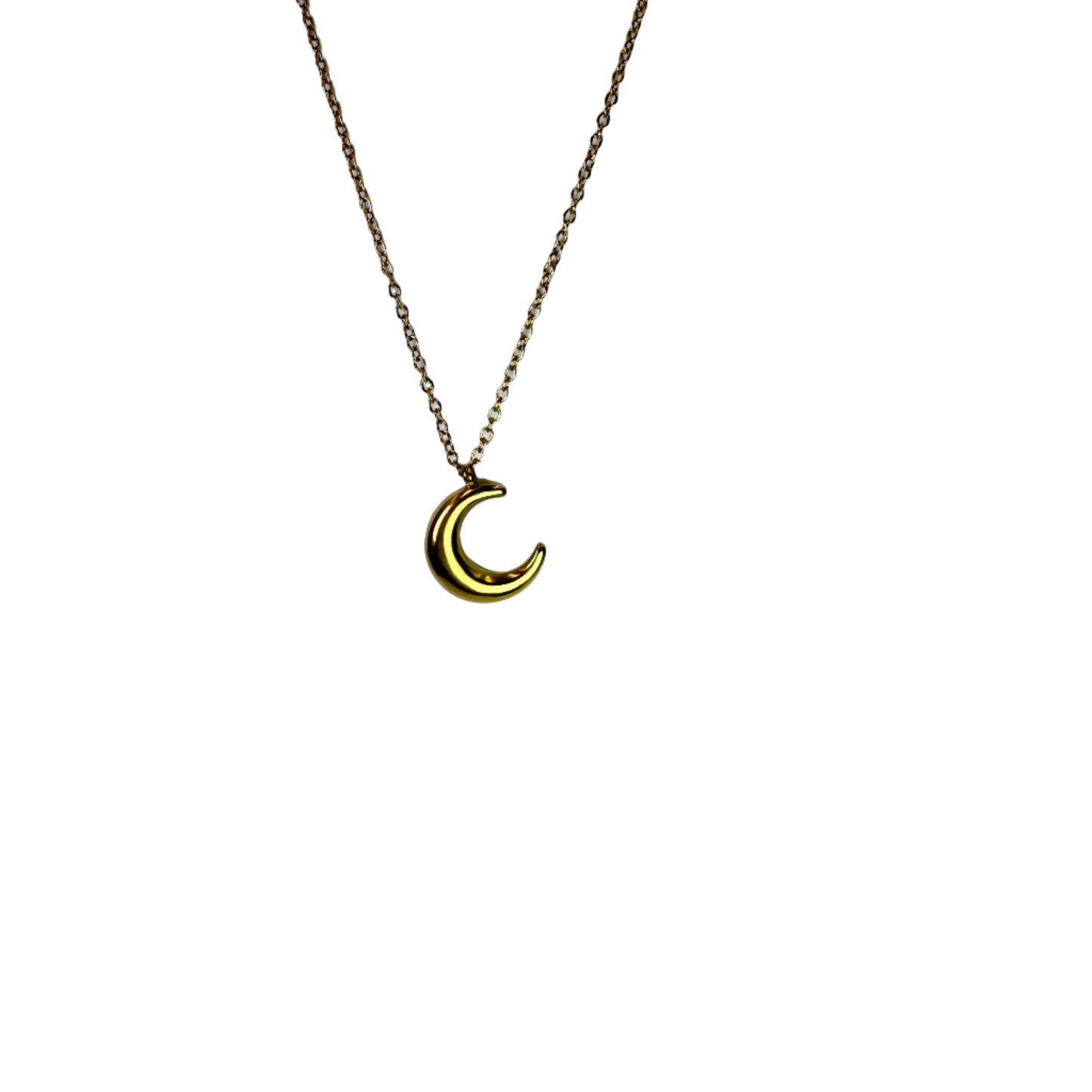 Crescent Moon Pendant Necklace