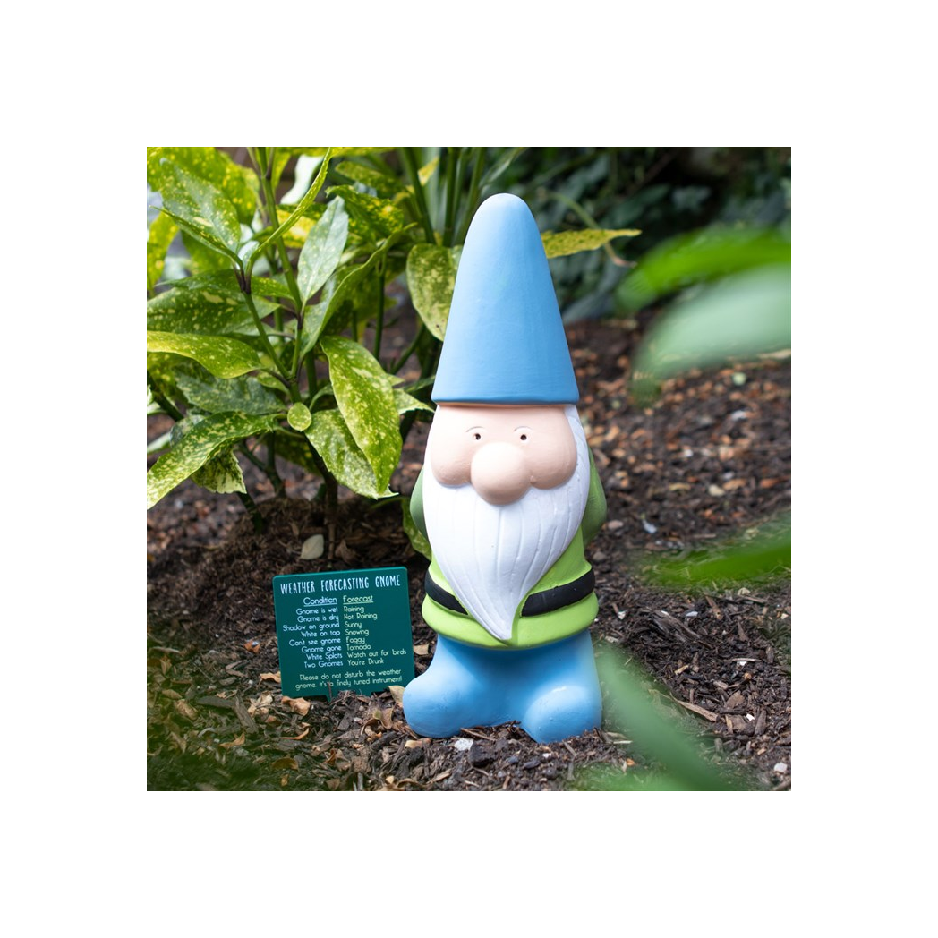 Large Weather Forecasting Gnome