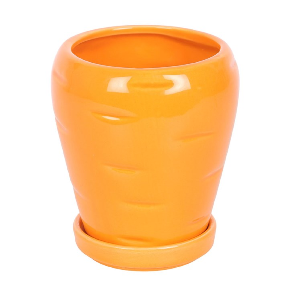 Carrot Shaped Plant Pot with Parsley Seed Balls