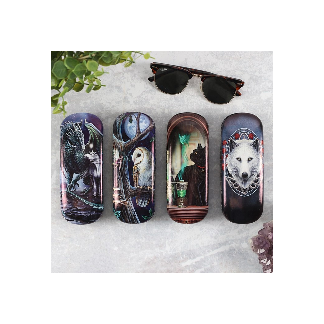 Fairy Tales Glasses Case by Lisa Parker