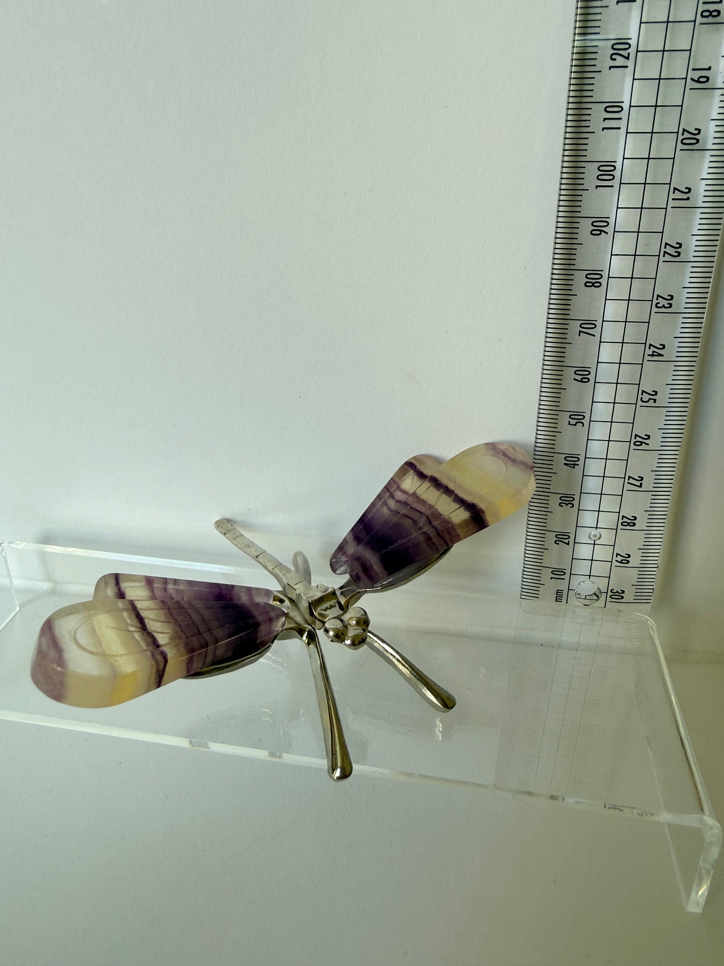 Fluorite Dragonfly