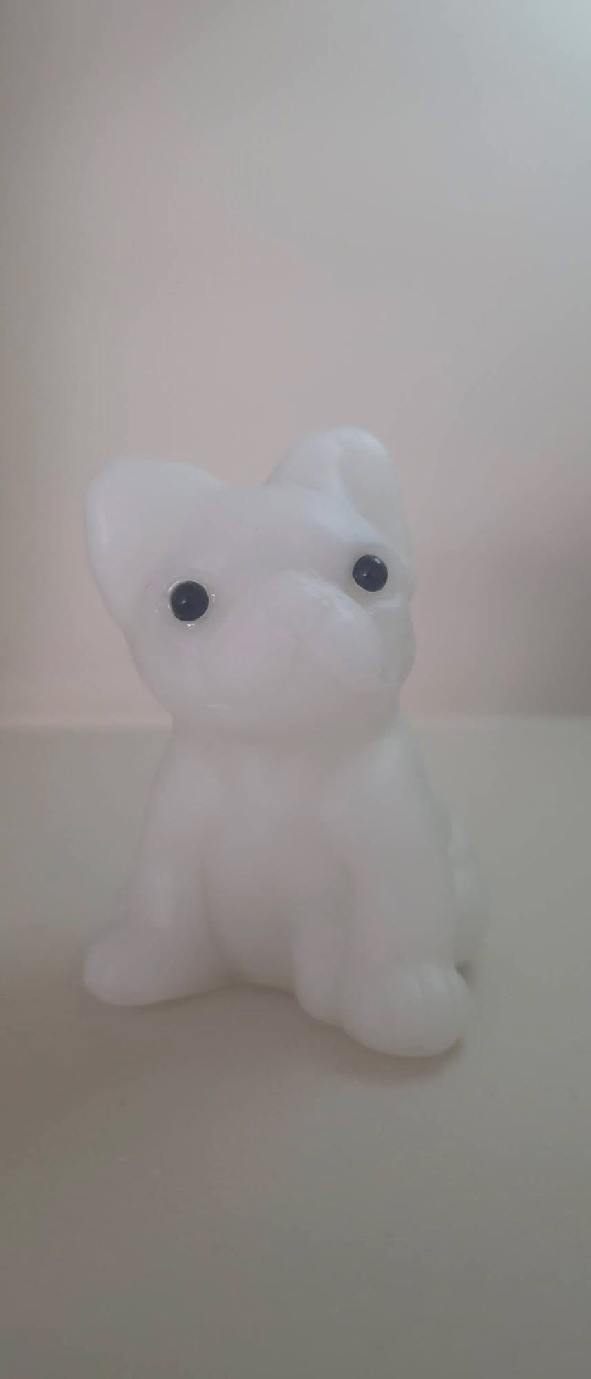 White Jade French Bulldog