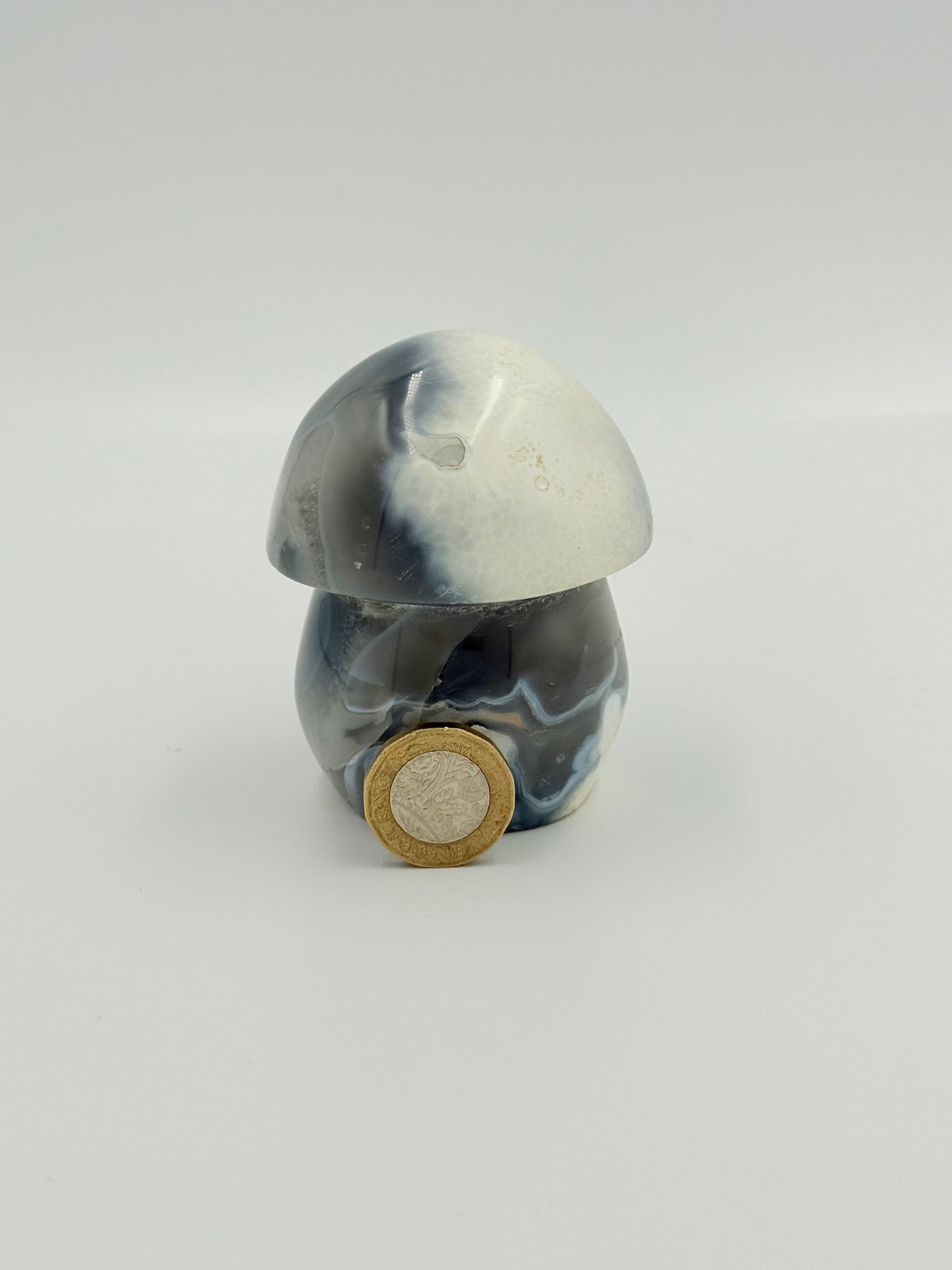Orca Agate Mushroom