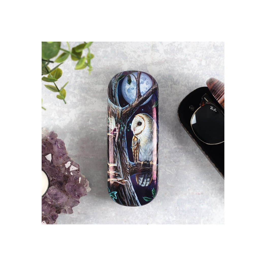 Fairy Tales Glasses Case by Lisa Parker